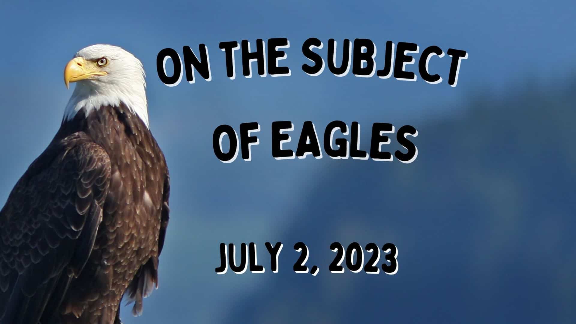 Read more about the article On the Subject of Eagles