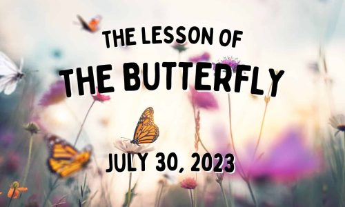 Sermon: The Lesson of the Butterfly